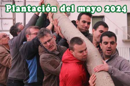 Image Plantación del Mayo en 2024