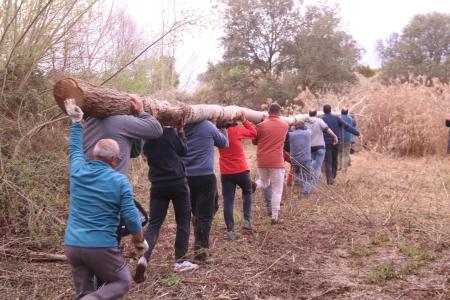 Imagen Colocación del Mayo en Peraltilla